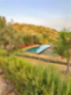 Battimandorlo - IMG_9097_edited_edited.jpg