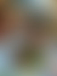 Wine and Dine i Positano…