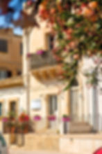 Donnalucata fuji - _DSF9492_edited.jpg