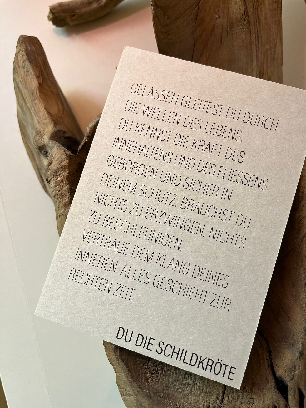 Miniaturbild: Du die Schildkröte
