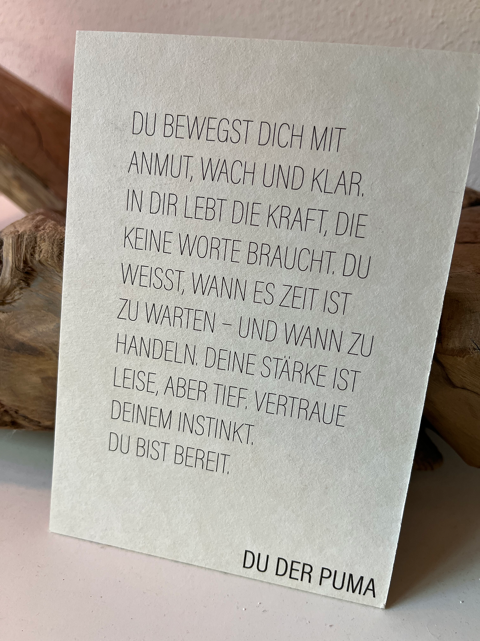 Miniaturbild: Du der Puma