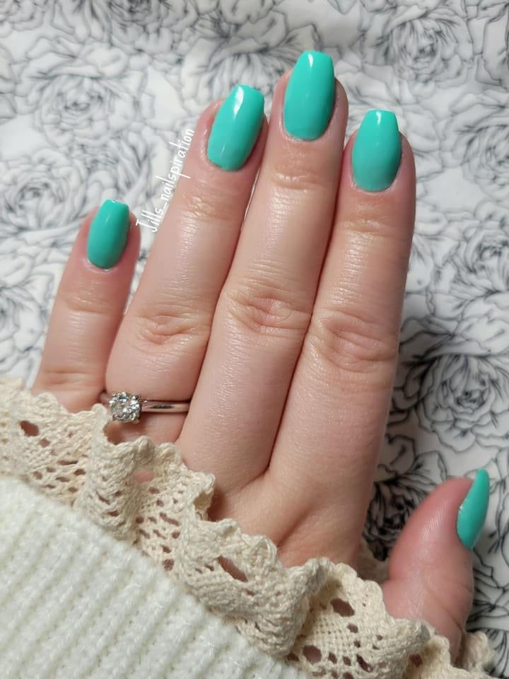 Pistachio (Pudding Gel)