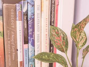 LinkedIn for Authors: All Four Blogs! 