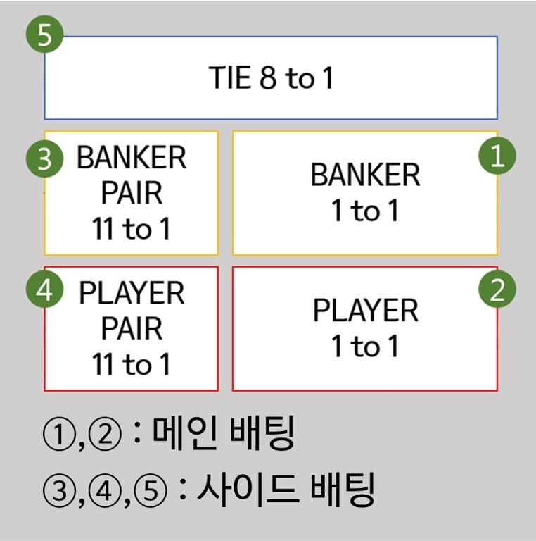 바카라사이트 - 바카라 배팅방법.webp