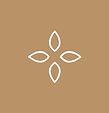 AYA_SquareIcons_0-01.jpg