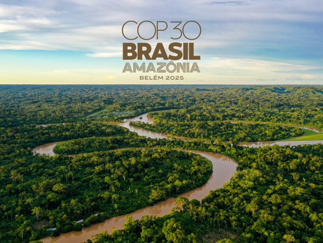COP30 Wouldn't, but We Will!