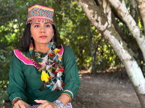 Indigenous communities in the Amazon: invaded, endangered and displaced