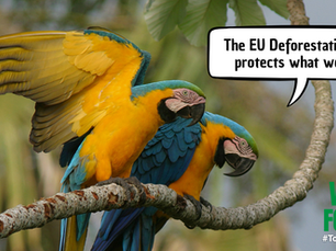 The EU Deforestation Law protects what we love.