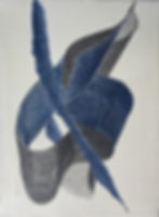 Moon Bird