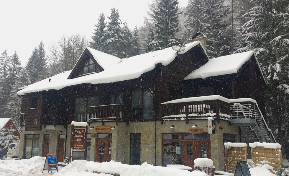 chalet winter.jpeg