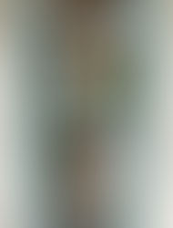 東京都「感染防止徹底宣言ステッカー」取得のお知らせ