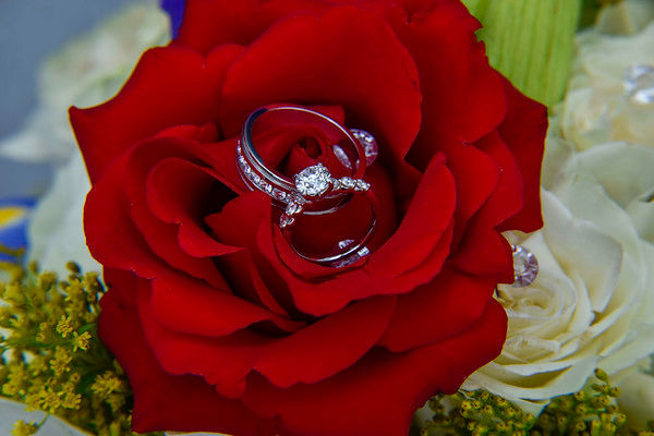 _DSC9039-Edit-M