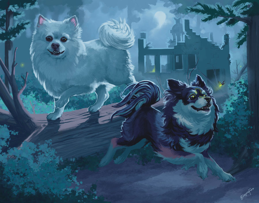 A white and sesame-colored pomeranian adventuring in a rainforest in the pacific northwest in the moonlight.