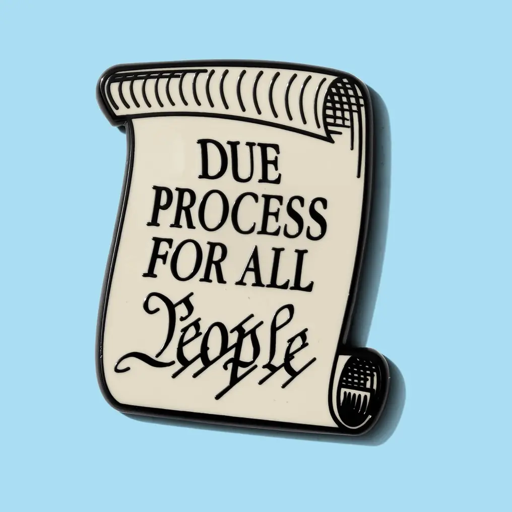 Dissent Pins - Due Process For All People