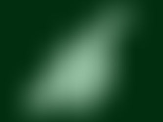 GRASS: Help Train AI Models with Your Idle Bandwidth