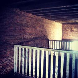 YearlingStall2