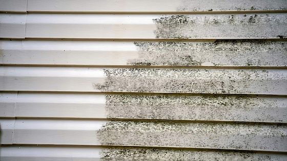A close-up, side-by-side comparison showing a section of horizontal white vinyl home siding that is partially cleaned. The left half of the image features pristine, clean white slats. The right half shows the exact same slats heavily covered in dark grey and green mold, mildew, and dirt build-up, demonstrating a stark before-and-after contrast of remediation
