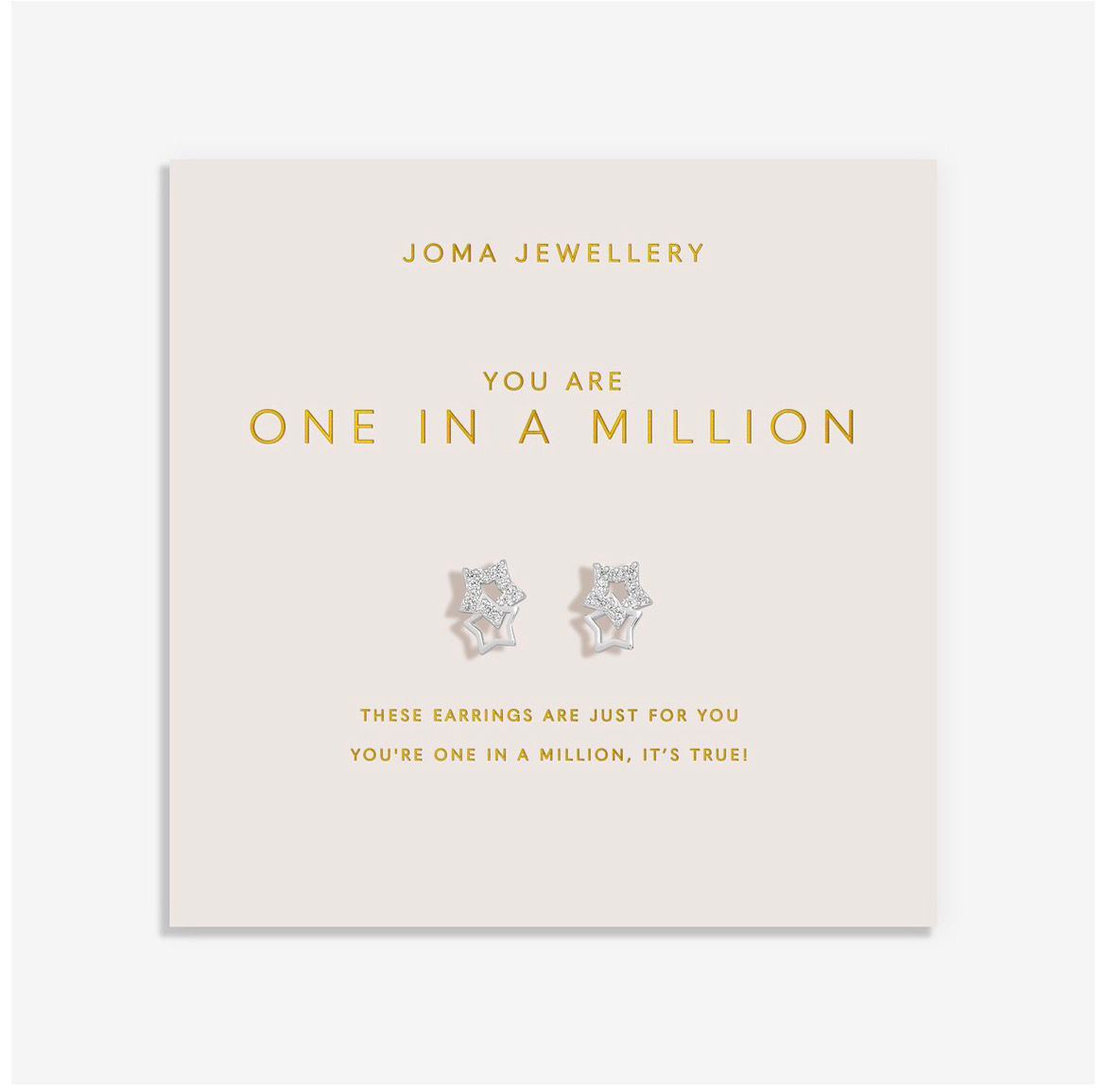 Forever Yours 'You Are One In A Million' Earrings In Silver Plating
