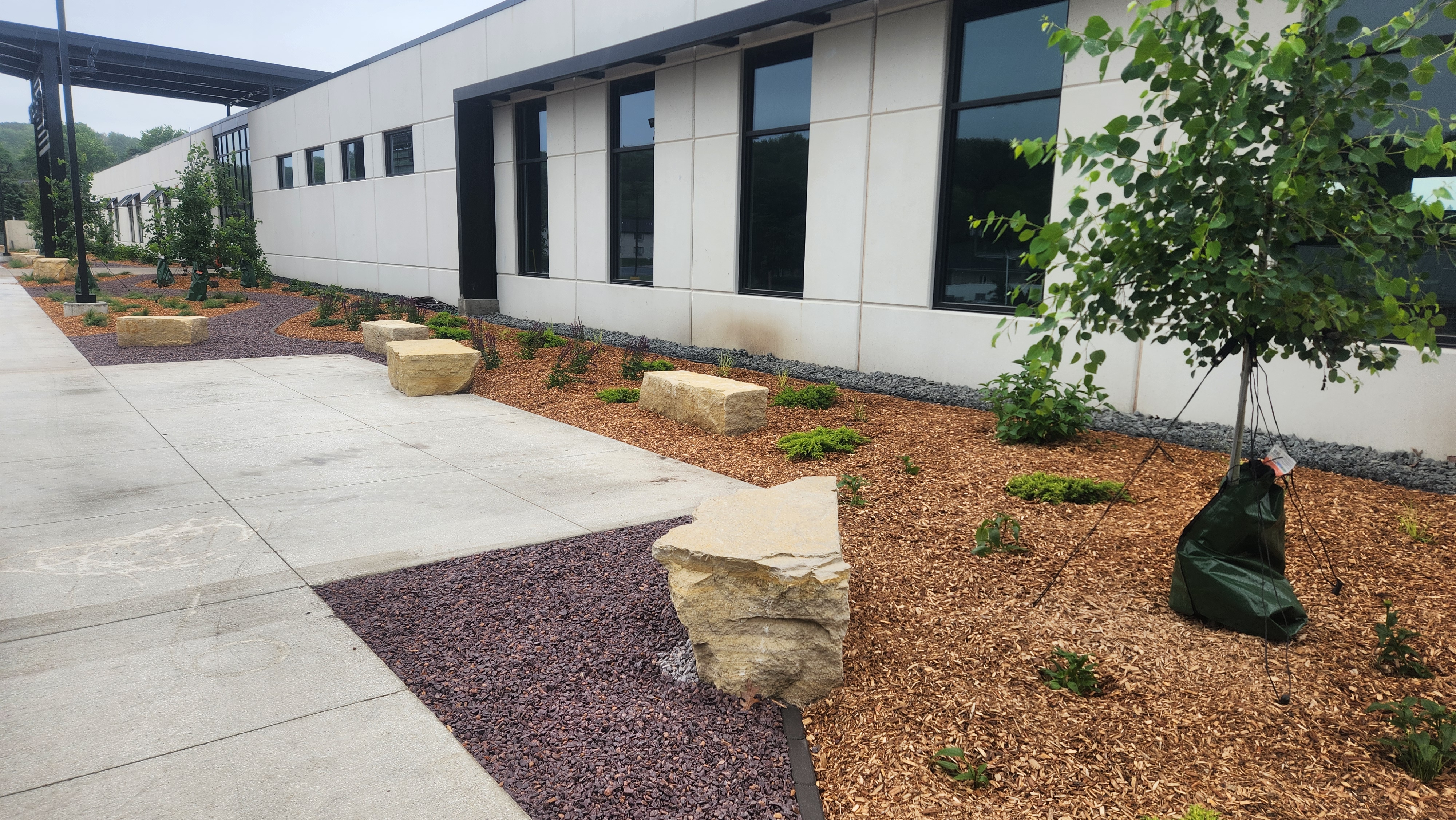 Sunflower Lg Boulders in Landscape