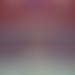 Jane Austen and Mary Shelley, at a glance