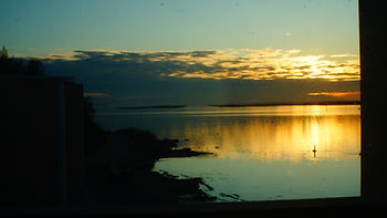 DSC08162.JPG