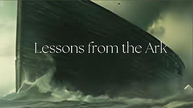 lessons from the ark.jpg