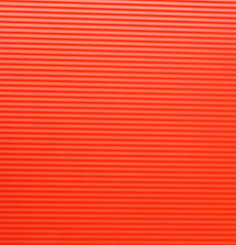 Pose Against the Red