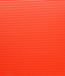 Pose Against the Red