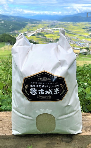 令和6年度【白米5kg】古城米・南魚沼産コシヒカリ