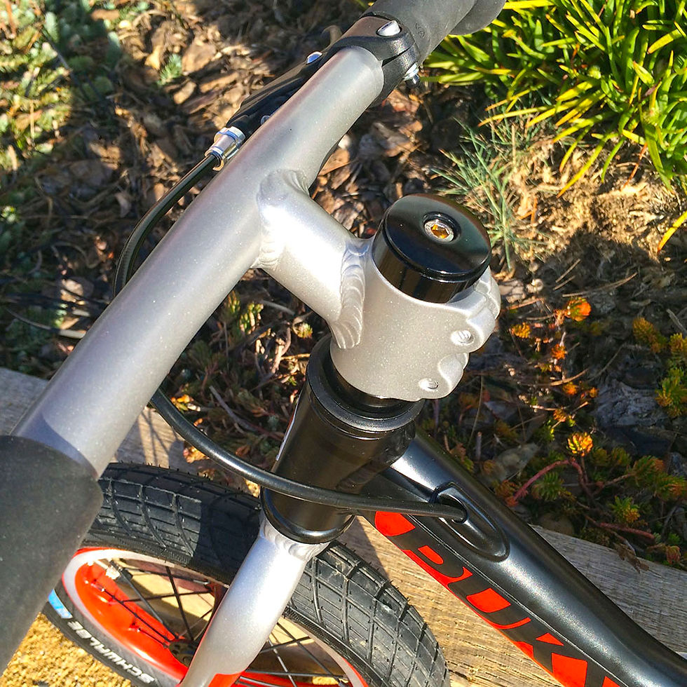 Poste de pilotage de la PUKY LR RIDE