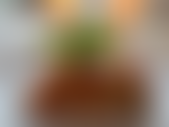 🎄 Casa Bella Vista Julekalender  9. december