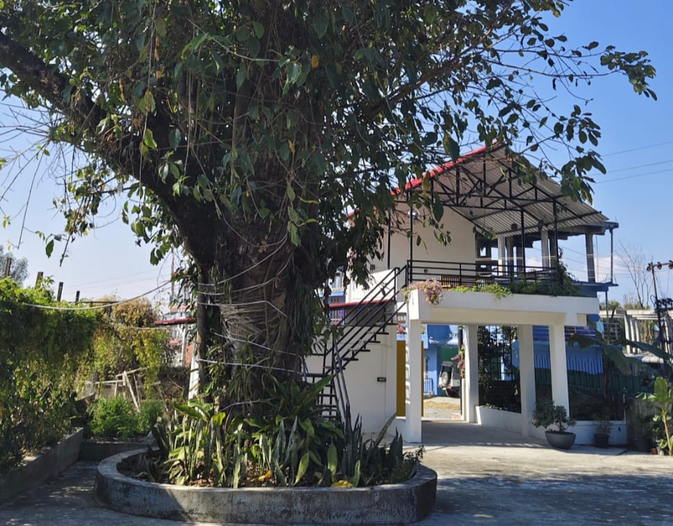 Kesha Eniyo Villa, Roing