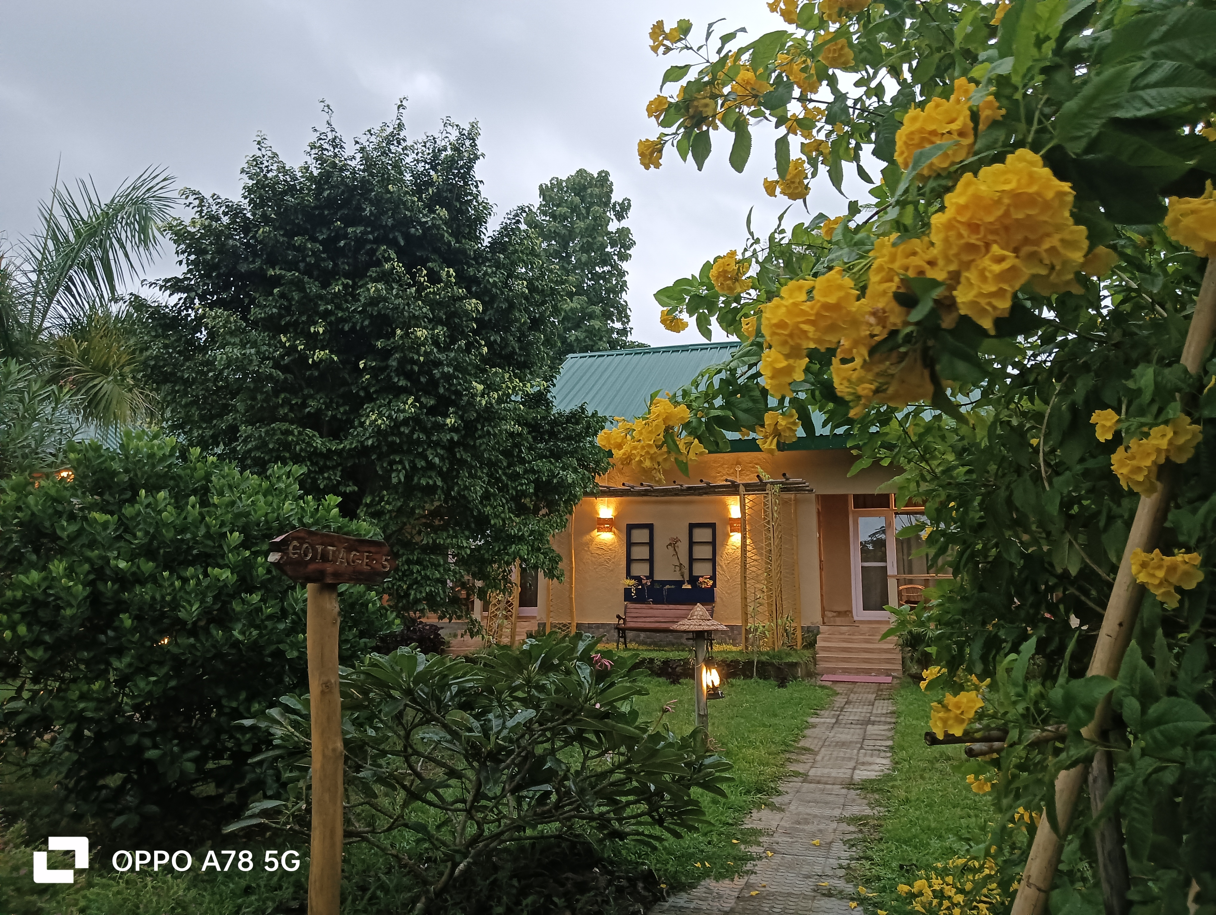 Panbaree Machaans Kaziranga