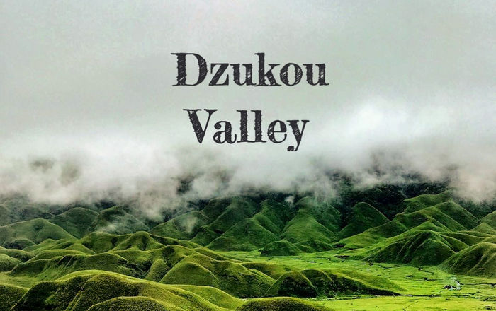 Dzukou Valley: A Comprehensive Guide to Nagaland and Manipur's Pristine Paradise
