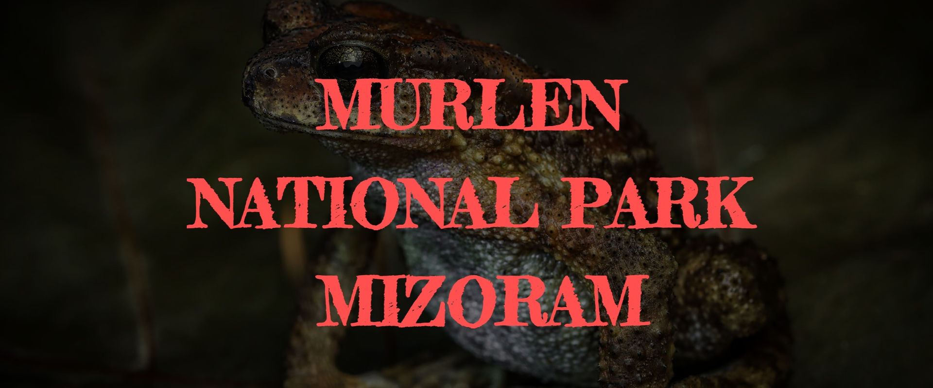 Murlen National Park, Mizoram