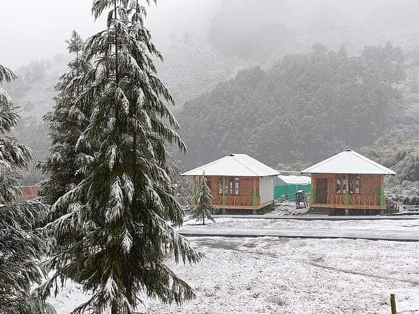 Mishmi Hills Resort photo 1