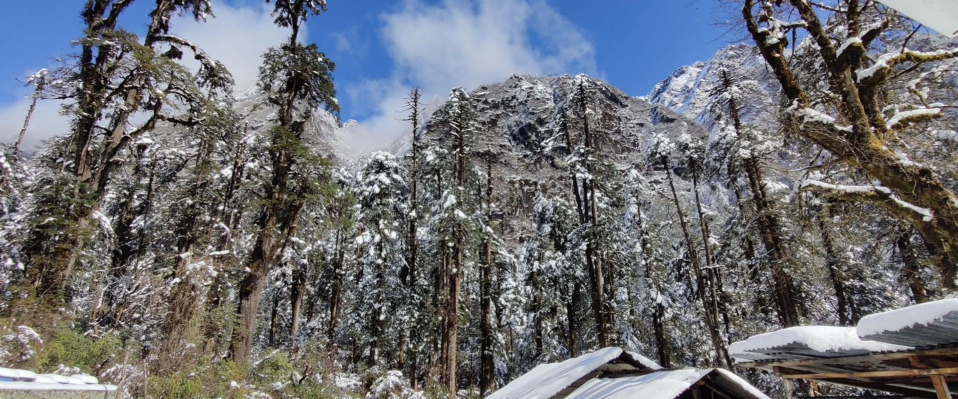Lamang Pass: A Hidden Gem in Mechuka, Arunachal Pradesh