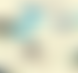 Seven Lake Summit: A Journey Through Arunachal Pradesh’s Wilderness