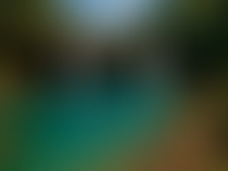 Krang Suri Falls – Meghalaya’s Turquoise Paradise