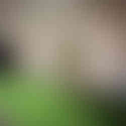 AC double occupancy room with attached modern toilet at Dibang Breeze Retreat Roing – ideal Anini stopover