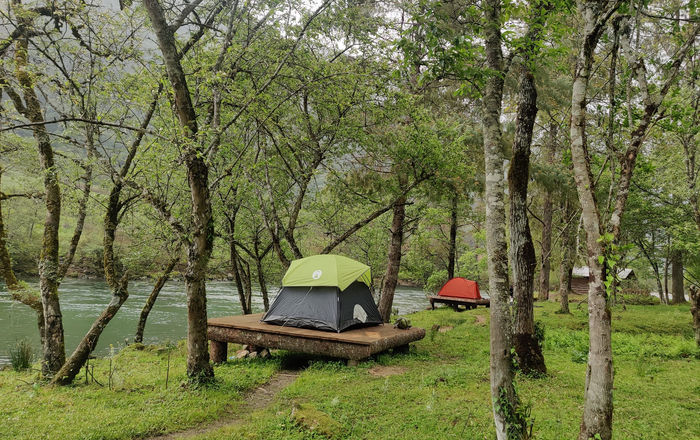 Acheso Valley Camp - Discover Bliss in Anini, Arunachal Pradesh