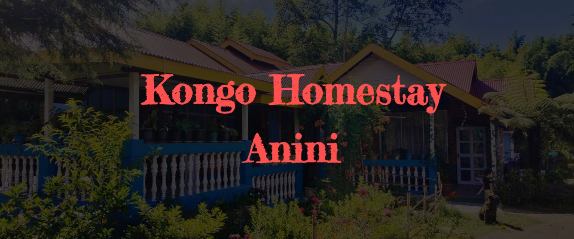 Discover Anini's Treasures at Kongo Homestay: A Cultural Haven in Arunachal Pradesh
