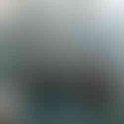 Lush garden courtyard of Kaji Lodge Anini, eco-friendly homestay in Dibang Valley with bamboo decor 