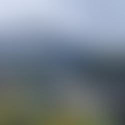 Cozy bamboo exterior of Kaji Lodge Anini, budget homestay in Dibang Valley with misty Himalayan hill