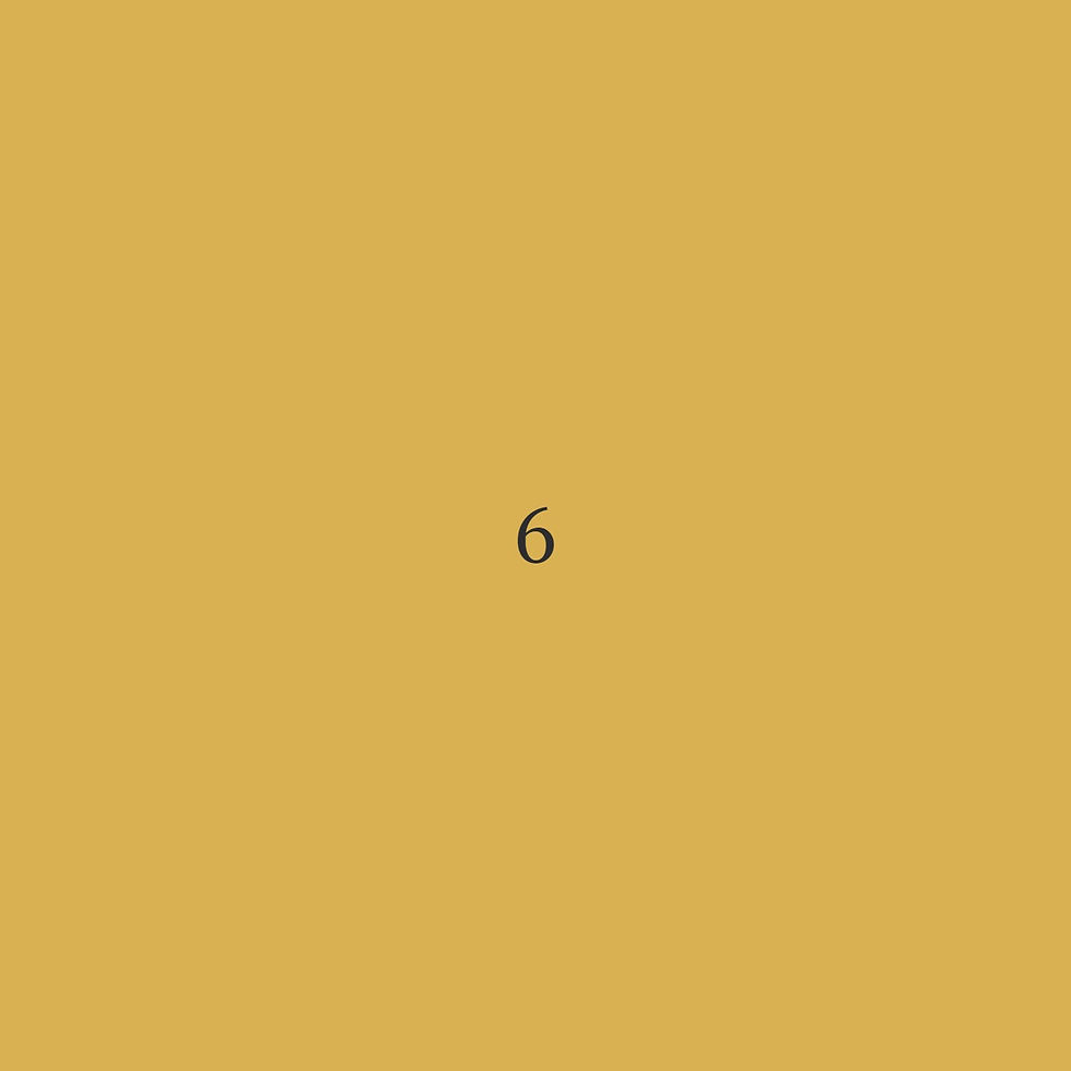 Miniaturbild: Polyester