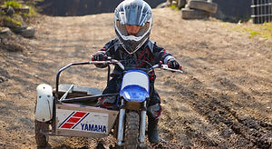 pw50.jpg