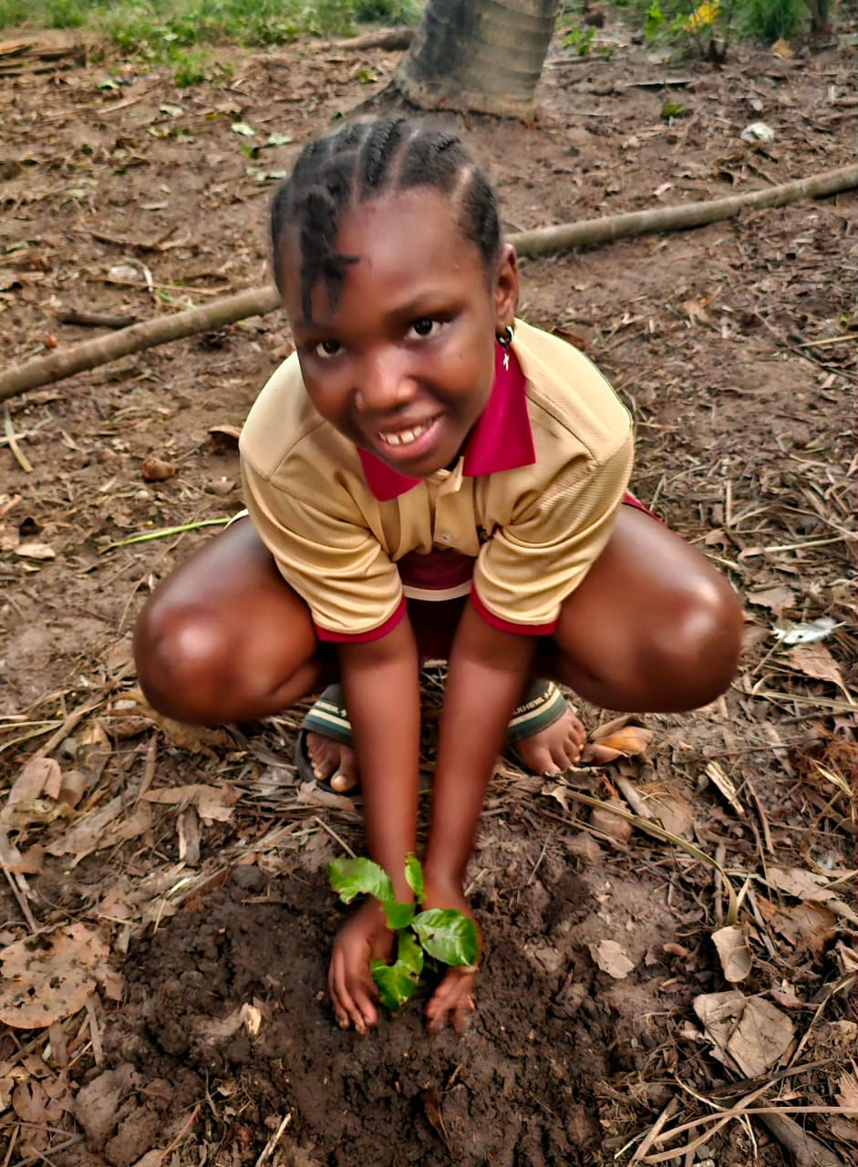 A child planting a tree seedling to learn about reforestation