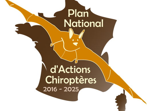 LA RESERVE NATURELLE NATIONALE D'ARJUZANX DETRUIT UN HABITAT PROTEGE