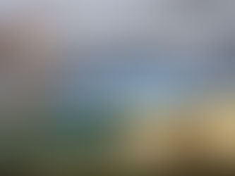 NOS PROPOSITIONS POUR LE DOMAINE D'ARJUZANX (partie 2)