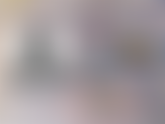 N°39 : ARJUZANX, VILLE ROYALE ET CAPITALE DU BRASSENX